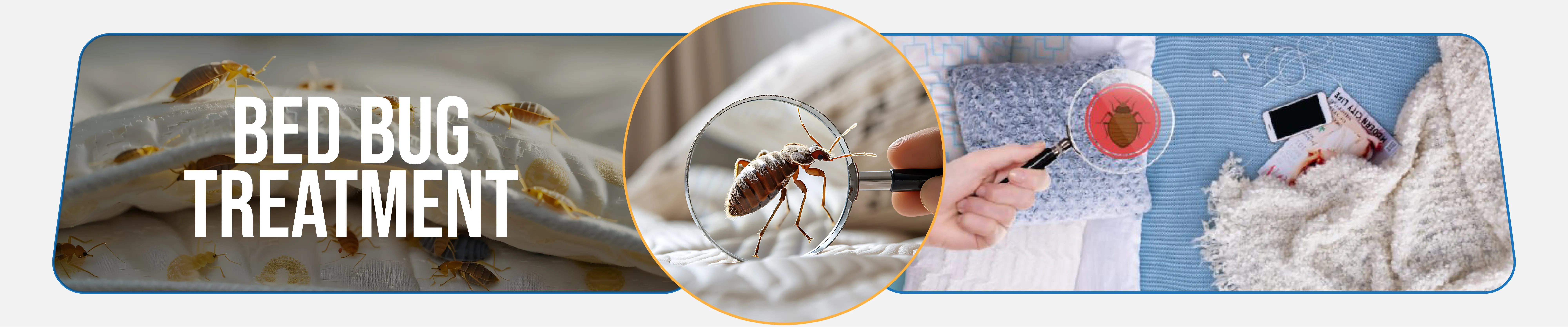 carpet cleaning in queens, carpet cleaning queens, carpet cleaners in queens, carpet cleaners in queens, commercial carpet cleaning, commercial carpet cleaning in queens, queens rug cleaners, rug cleaning services in queens, same day carpet cleaning, same day rug cleaning in queens