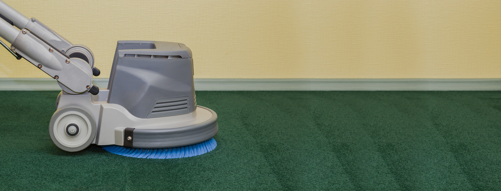 carpet cleaning in Bronx, carpet cleaner in Bronx, carpet cleaners in Bronx, carpet cleaners in Bronx, drapery cleaners in Bronx, carpet cleaning in Bronx, mattress cleaning in Bronx, mattress cleaners in Bronx, commercial carpet cleaning, commercial carpet cleaners in Bronx, Bronx rug cleaners, rug cleaning services in Bronx same day carpet cleaning, same day rug cleaning