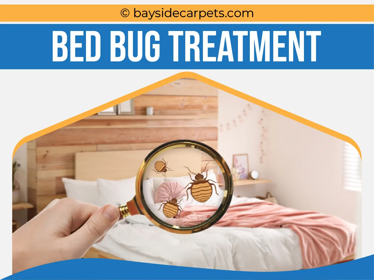 carpet cleaning in queens, carpet cleaning queens, carpet cleaners in queens, carpet cleaners in queens, commercial carpet cleaning, commercial carpet cleaning in queens, queens rug cleaners, rug cleaning services in queens, same day carpet cleaning, same day rug cleaning in queens